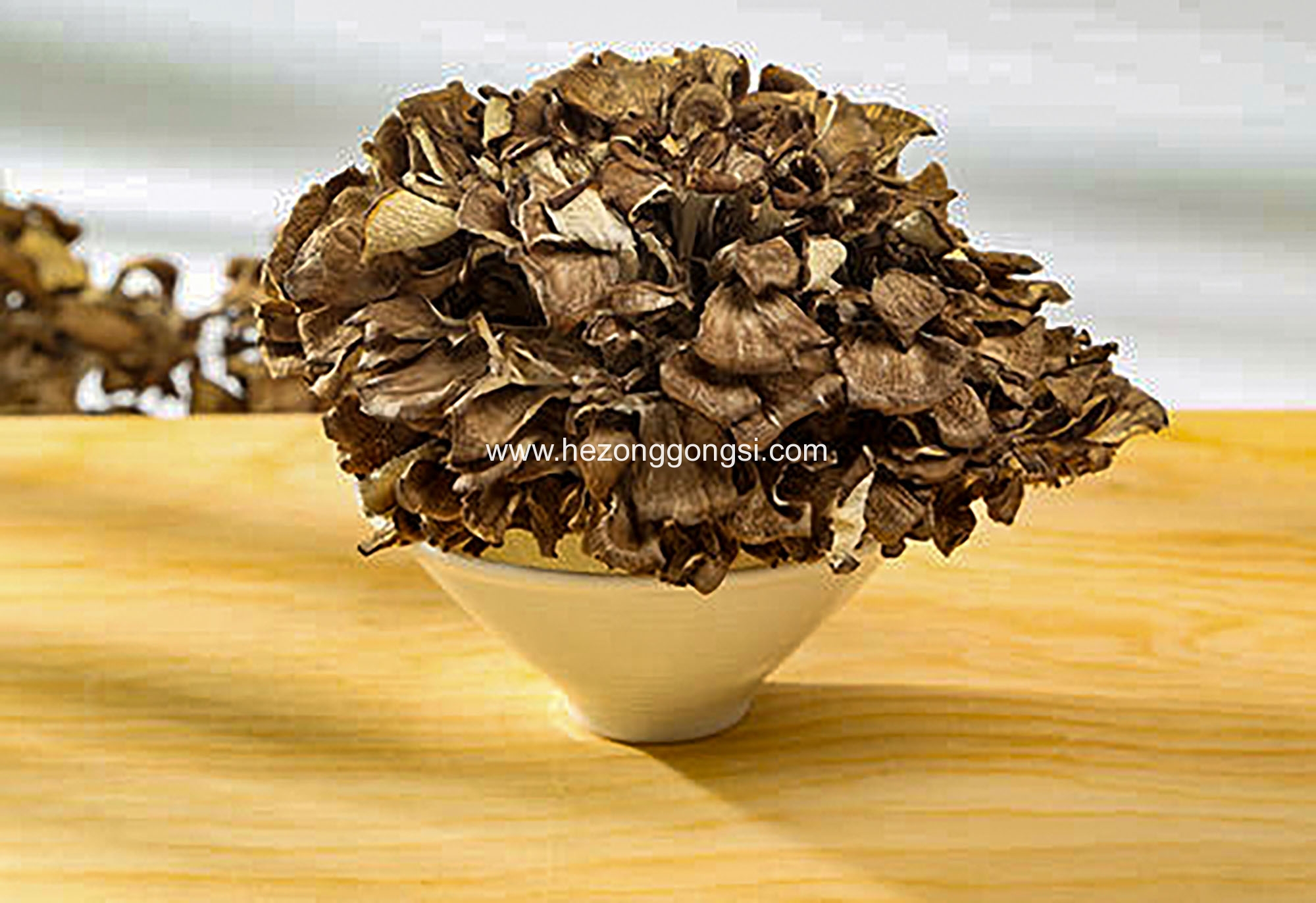 灰树花 舞茸 工厂化栽培项目推广合作 合纵食用菌公司技术服务网