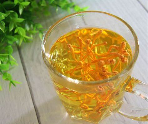 北虫草食用方法 北虫草食用方法