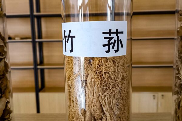 竹荪 竹荪