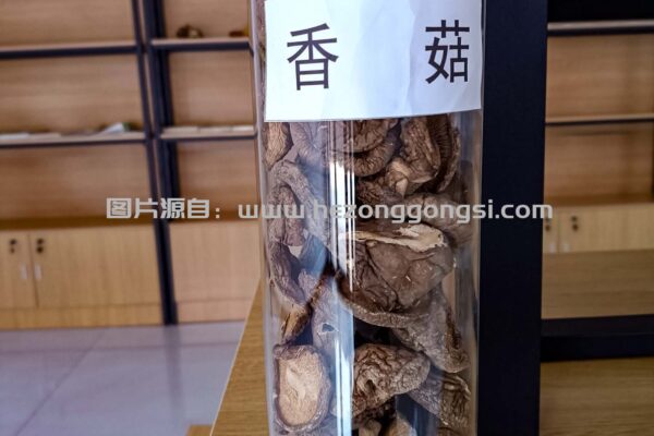 香菇 香菇